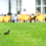 Hotell Park Tartuf