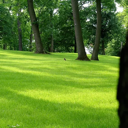 Park Tartuf