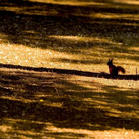 Hotel Park Tartuf Beladice