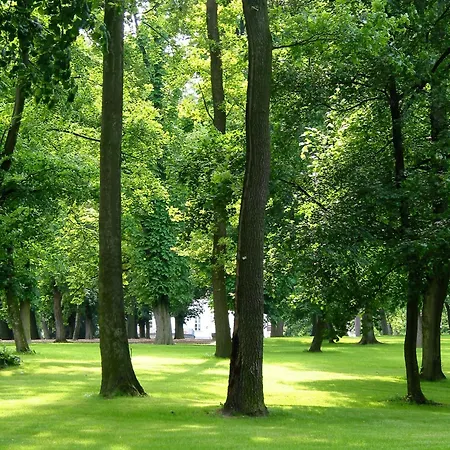 Hotel Park Tartuf 3*